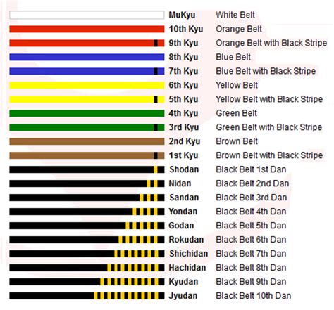 What Does the Different Color Karate Belt Means